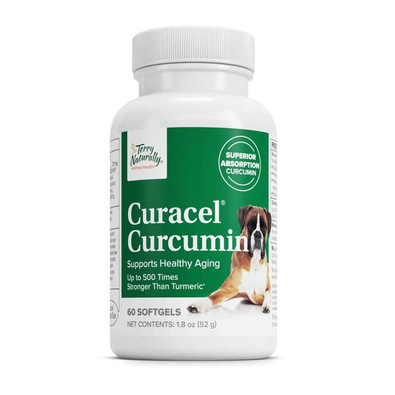 [Australia] - Terry Naturally Curacel Curcumin - Health Supplement for Dogs - Pet Curcumin Dog Supplies - Cellular Health Supplement with Antioxidants - 60 Softgels Standard Packaging 