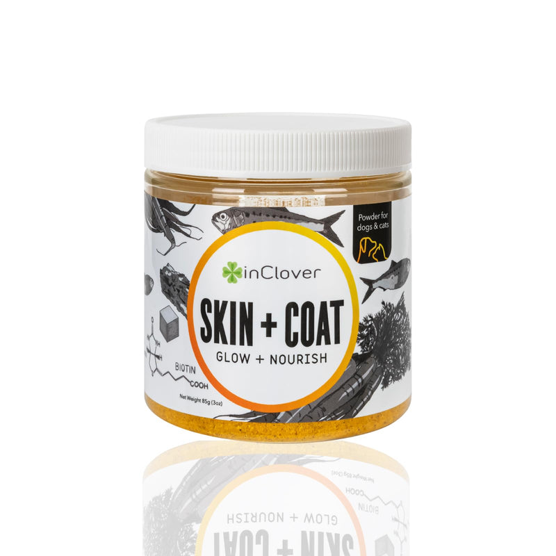 In Clover Dog Skin and Coat Supplement, BioRadiant Natural Supplement for Dogs, Healthy Skin and Coat Supplement, Fish Oil Alternative Uses Carrots, Coconut, Omega 3's, Biotin and Zinc Soothe Skin - PawsPlanet Australia