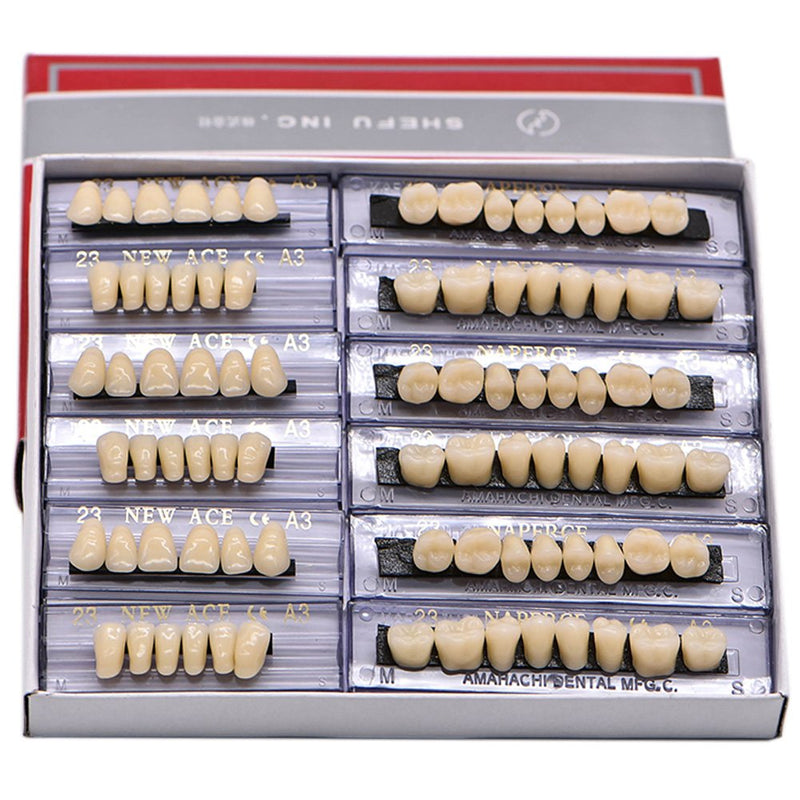 [Australia] - Angzhili Dental Synthetic Acrylic Resin False Teeth for Halloween Horror Teeth Denture Teeth Sets Shade A3 Upper And Lower Acrylic Teeth Sets(168pcs) 