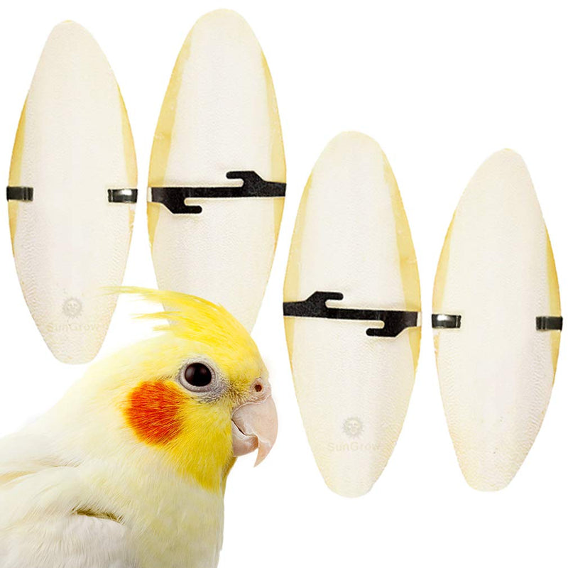 SunGrow 4 Pack Large 6 inch Cuttlefish Bones for Cockatiels, Turtles, Shrimp, Dog Calcium Supplement, Cuttlebone Cage Holder Included 4 Pieces - PawsPlanet Australia