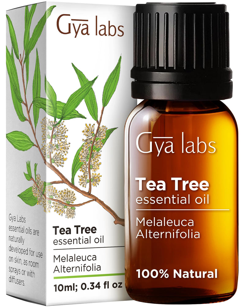 [Australia] - Gya Labs Australian Tea Tree Oil for Skin, Hair, Face & Toenails - 100% Natural Melaleuca Oil Tea Tree Essential Oil for Piercings, Scalp, Hair & Candle Making - 100% Pure Oils (0.34 fl oz) Tea Tree (Supreme) 0.34 Fl Oz (Pack of 1) 