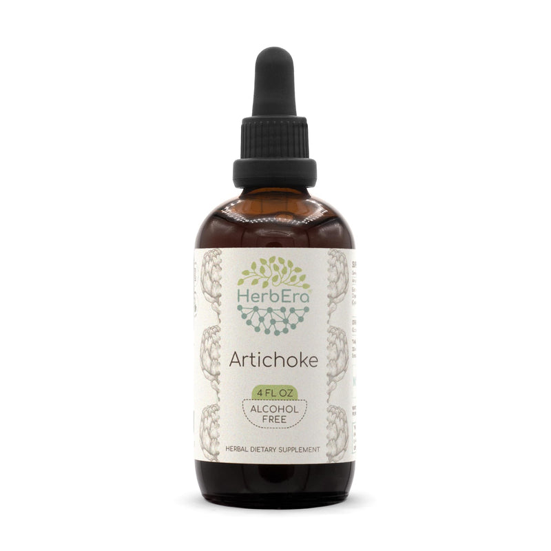 [Australia] - Artichoke B120 Alcohol-Free Herbal Extract Tincture, Concentrated Liquid Drops Natural Artichoke (Cynara scolymus) (4 fl oz) 4 Fl Oz (Pack of 1) 