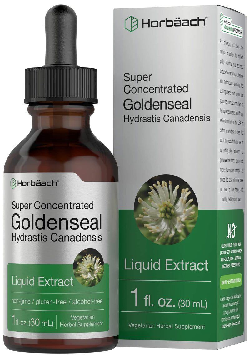 [Australia] - Horbäach Goldenseal Root Extract Liquid | 1 fl oz Tincture | Super Concentrated | Alcohol Free | Vegetarian, Non-GMO, Gluten Free 