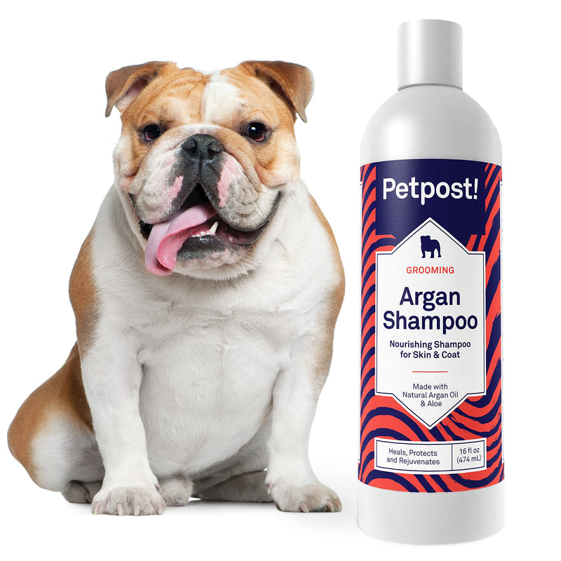 Petpost | Argan Shampoo for Dogs - Naturally Heals, Protects, & Rejuvenates Dog Dry Skin & Coat - Argan Oil and Aloe Formula 16 oz. 16oz. - PawsPlanet Australia