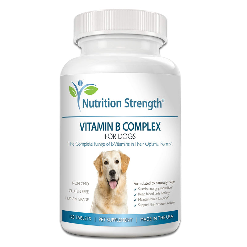 Vitamin B for Dogs, Complete B Complex for Dogs, Promote Blood Cell & Nervous System Health, Help Sustain Cellular Energy Production & Maintain Brain Function, 120 Chewable Tablets - PawsPlanet Australia