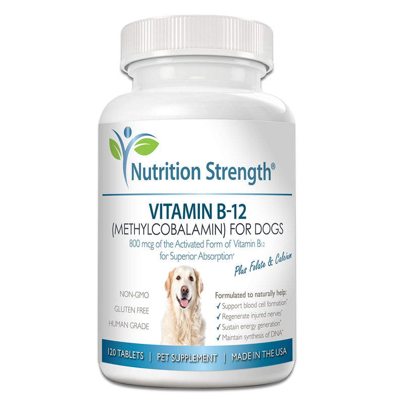 Vitamin B12 for Dogs Plus Folate & Calcium, Support the Nervous System & Blood Cell Formation, Help Sustain Cellular Energy Generation & Maintain DNA Synthesis, 120 Chewable Tablets - PawsPlanet Australia