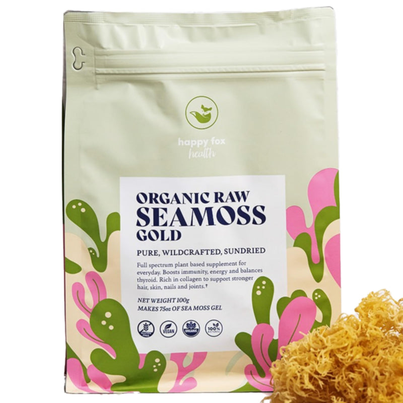HAPPY FOX Organic Sea Moss Raw Gold - Makes 75oz of Seamoss Gel Rich in Vitamins & Minerals, Certified Non-GMO, Wildcrafted, Sundried Superfood - 3.5 oz Bag 3.5 Ounce (Pack of 1)