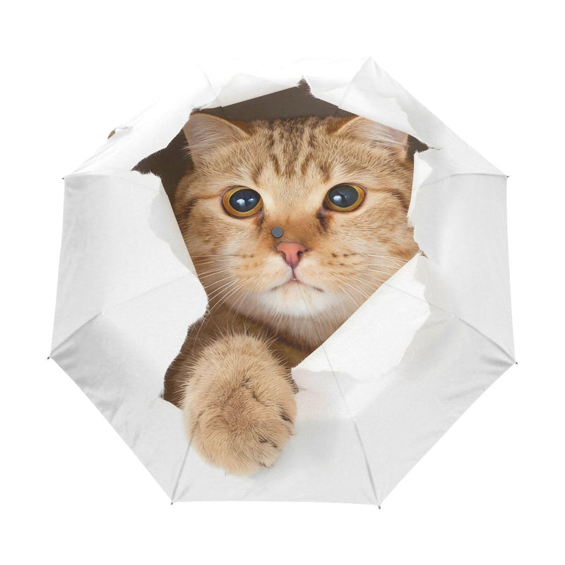 Black Compact Travel Umbrella Maine Coon Cat Auto Open Close Umbrella Windproof Anti-UV Cat #2