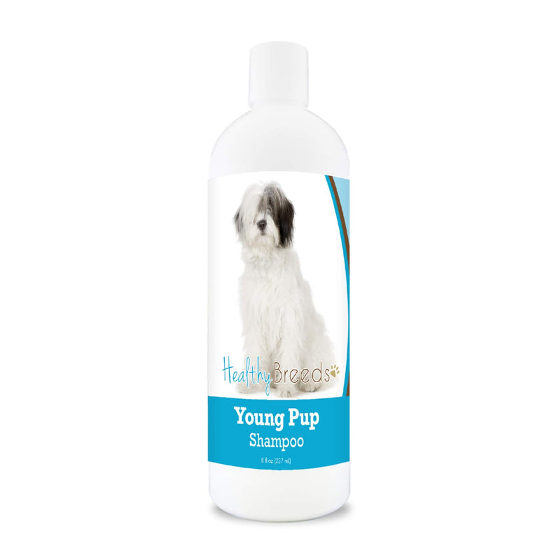 Healthy Breeds Old English Sheepdog Young Pup Shampoo 8 oz - PawsPlanet Australia