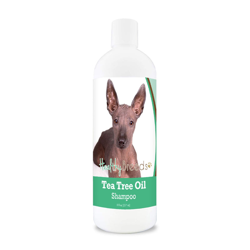 Healthy Breeds Xoloitzcuintli Tea Tree Oil Shampoo – Formulated for Dry, Irritated Skin – Reduce Dandruff – Wintergreen Scent – 8 oz - PawsPlanet Australia