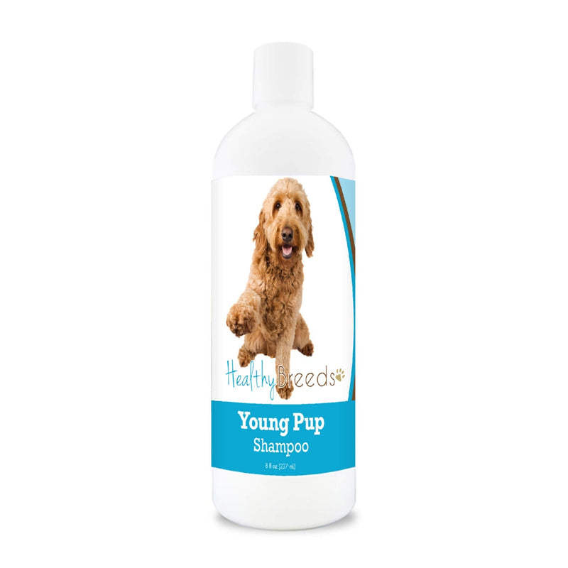 Healthy Breeds Goldendoodle Young Pup Shampoo 8 oz - PawsPlanet Australia