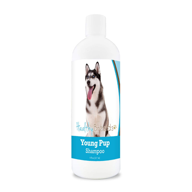 Healthy Breeds Siberian Husky Young Pup Shampoo 8 oz - PawsPlanet Australia