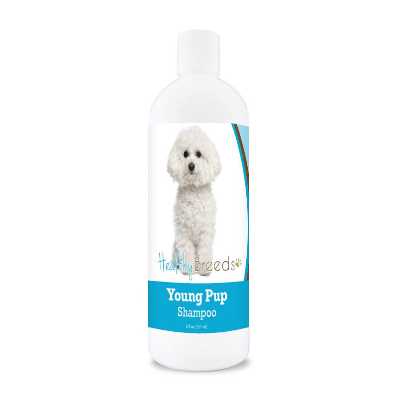 Healthy Breeds Bichon Frise Young Pup Shampoo 8 oz - PawsPlanet Australia