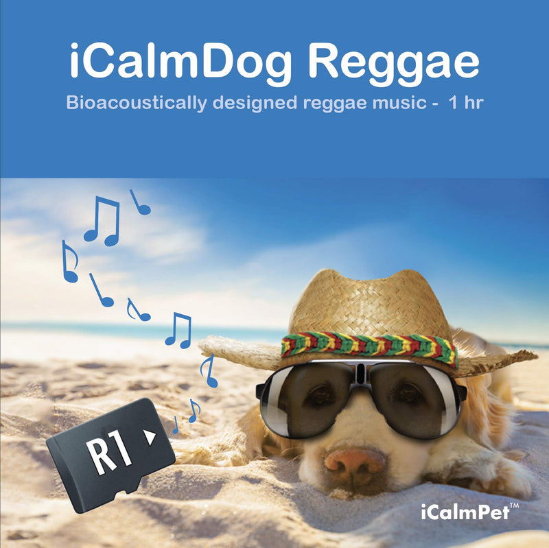 iCalmDog Reggae | by Through a Dog's Ear | Happy Jamaican Rhythms | Micro SD Sound Card | Proven Dog Anxiety Solution - PawsPlanet Australia