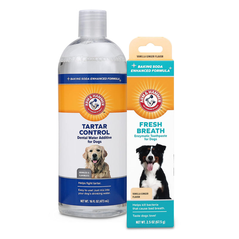 Arm & Hammer for Pets Combo Pack Dog Dental Tartar Control Water Additive and Fresh Breath Vanilla Ginger Enzymatic Toothpaste | Includes 16 Oz Dog Water Additive and 2.5 oz Dog Toothpaste - PawsPlanet Australia