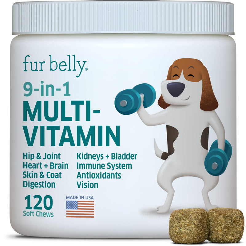 Dog Multivitamin - Dog Vitamins and Supplements - Digestive Enzymes & Probiotics - Probiotics for Dogs - for Skin and Coat Allergies - Immune System & Overall Health - 120 Soft Chew Dog Treats - PawsPlanet Australia