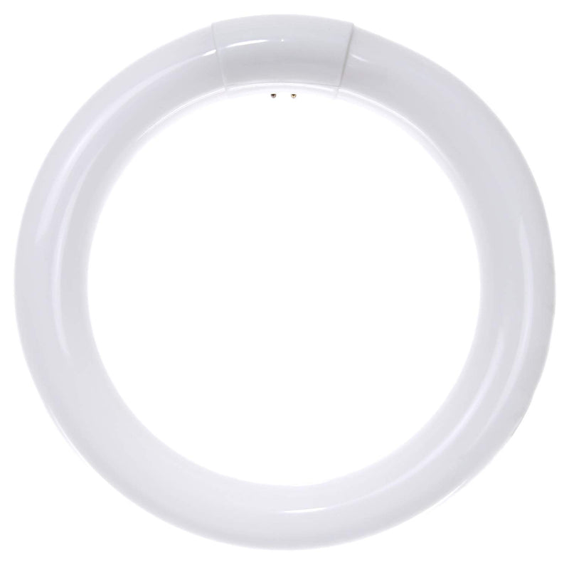 [Australia] - Sunlite 41316 FC8T9/CW 8-Inch T9 Round Fluorescent Circline Lamp, 22 Watts, 1250 Lumens, 4100K Cool White, G10Q 4-Pin Base, 1 Pack 1 Count (Pack of 1) 