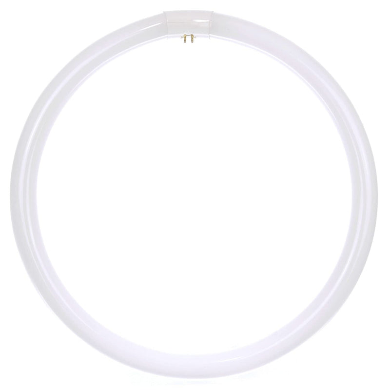 [Australia] - Sunlite 41315 FC12T9/CW T9 Round Fluorescent Circline Lamp, 32 Watts, 2100 Lumens, 4100K Cool White, RoHS Compliant, G10Q 4-Pin Base, 1 Pack 