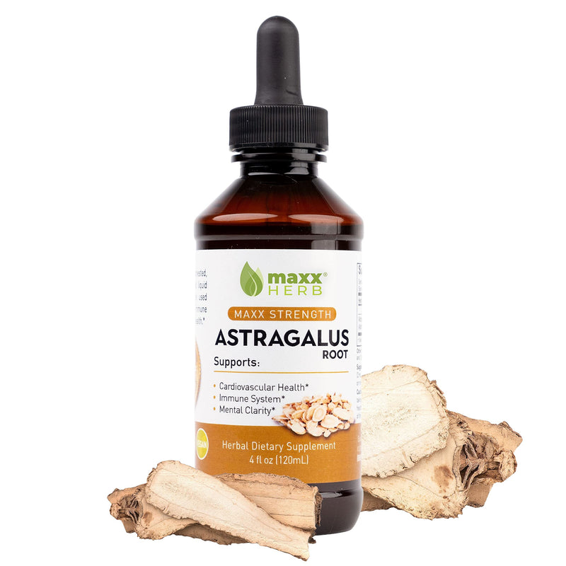 [Australia] - Maxx Herb Astragalus Root Extract - Max Strength Liquid Tincture Absorbs Better Than Capsules or Powder, for Immune Support and Mental Clarity - 4 Oz Bottle (60 Servings) 4 Fl Oz (Pack of 1) 
