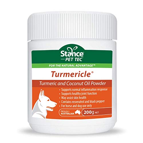 Natural Turmeric Powder for Dogs with Powdered Coconut Oil - Turmericle Anti-Inflamatory Dog Supplement for Healthy Hip & Joint Function - Normal Skin Health (1 Pack) 1 pack - PawsPlanet Australia