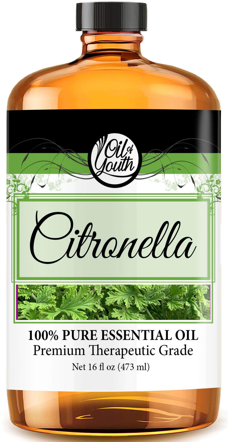 [Australia] - Oil of Youth - Citronella Essential Oil (16oz Bulk) Pure essential oil for Relaxation, Enhance Mood, Aromatherapy, Diffuser - Bulk Citronella Essential Oil for Candles - Aromatherapy Diffuser Oil 16 Fl Oz (Pack of 1) 