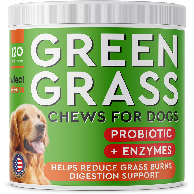 Dog Pee Grass Helper - Grass Treatment for Dog Urine - Dog Urine Neutralizer for Grass Burn Spots - Dog Pee Lawn Repair Treats with Probiotics - Made in USA - 120 Chews - PawsPlanet Australia