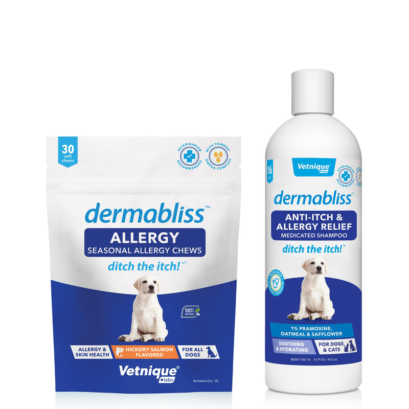 Vetnique Dermabliss Allergy Chews 30ct and Dermabliss Anti Itch Dog Shampoo Hickory Salmon Soft Chew Supplement Dog Allergy Shampoo - PawsPlanet Australia