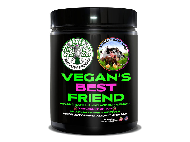 Vegan's Best Friend - Plant Based Multivitamin For Men & Women - Brain, Memory, Energy, Immune, Mood & Stress Support - Replaces 7 Supplements - Creatine, B12, D3, Choline, Zinc, Taurine - 40 Servings 10.6 Ounce (Pack of 1)