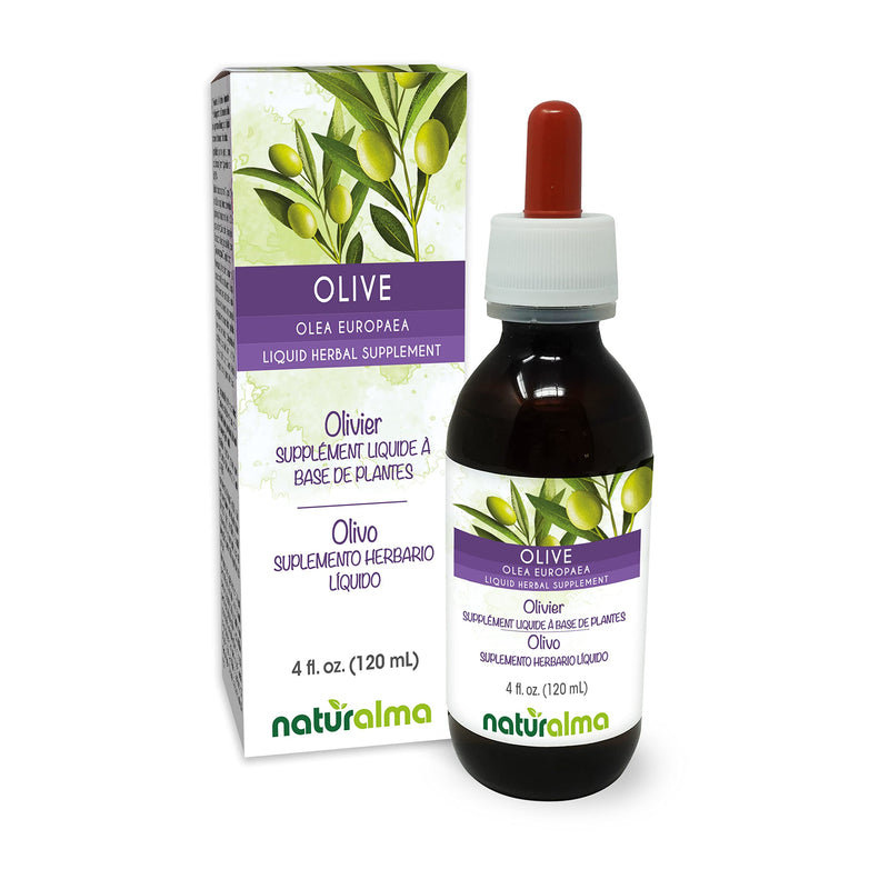 [Australia] - Naturalma Olive (Olea europaea) leaf Alcohol-free Tincture - 4 fl oz Liquid extract in drops - Herbal supplement - Vegan 4 Fl Oz (Pack of 1) 