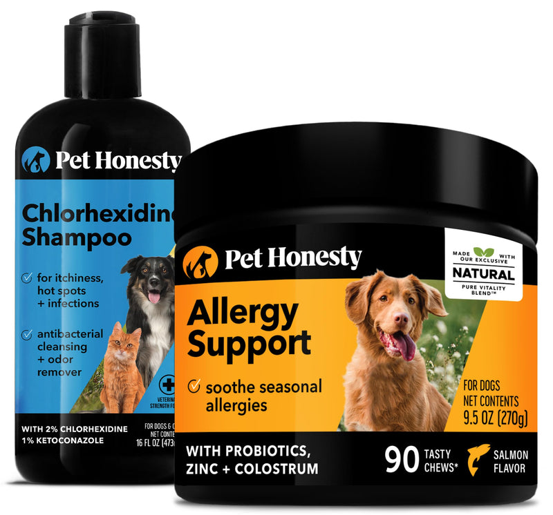 PetHonesty Chlorhexidine Shampoo + Allergy Support Soft Chew Bundle - All-Natural Dog Vitamins, Fish Oil for Dogs, Omega 3 for Dogs, Itch Relief, Shiny Dog Coat, Dog Shampoo for Allergies - PawsPlanet Australia