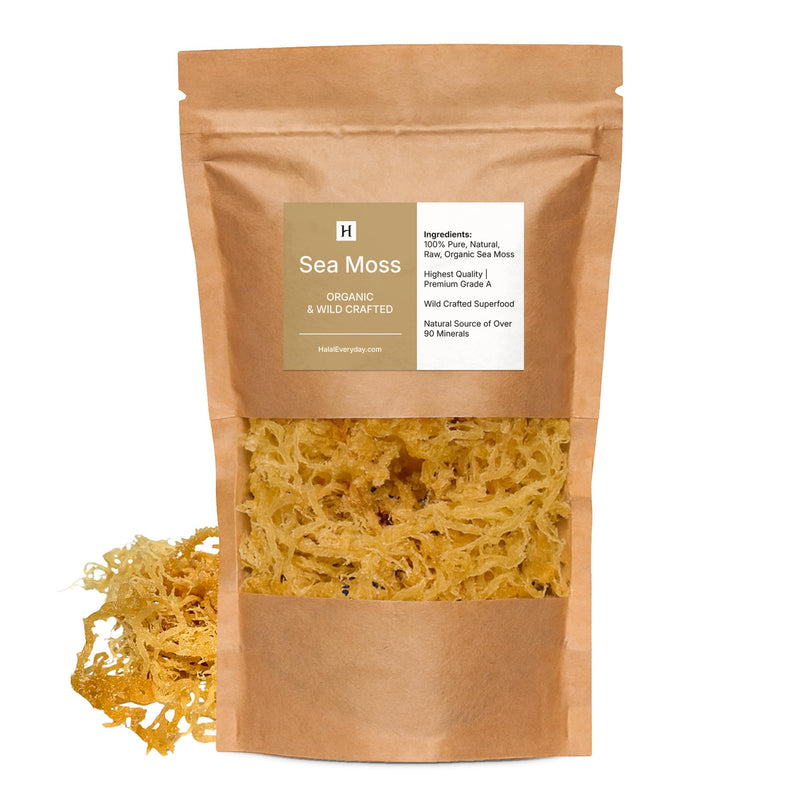 HalalEveryDay Wildcrafted Irish Sea Moss - 1lb Bag- 100% Pure All Natural | Vitamin & Mineral Rich | No Preservatives | Golden | 16 oz 16 Ounce (Pack of 1)
