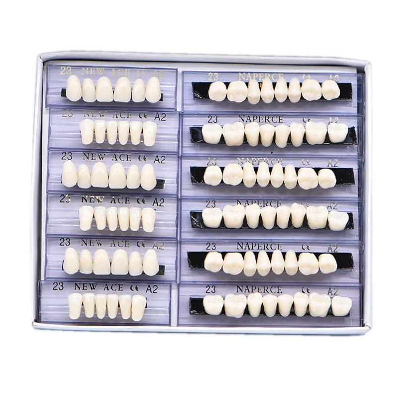 [Australia] - RZJZGZ 168 Pcs Dental Synthetic Resin Tooth Denture Temporary False Teeth 6 Sets False Teeth 23 A2 