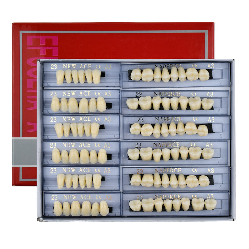 [Australia] - 168 Pcs Dental Synthetic Resin Tooth Denture 3 Sets False Teeth 23 A3 Upper Lower Shade Dental for Halloween Horror Teeth 