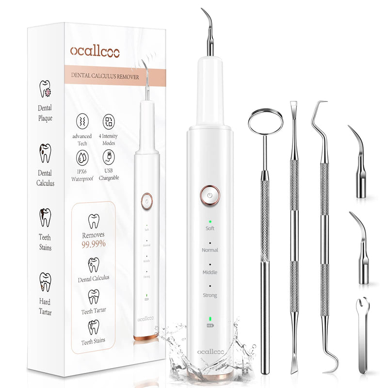 [Australia] - Plaque Remover for Teeth, Electric Tooth Cleaner Tartar Remover for Teeth with LED Light,4 Modes Rechargeable Teeth Cleaning Kit with Dental Tools, 2 Replaceable Heads (White A) 