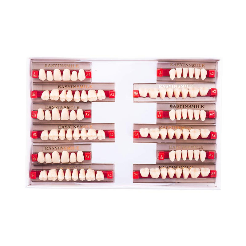 Easyinsmile Dental Synthetic Resin Teeth A2 A3 False Upper Lower Teeth Replacement Dentures for Halloween (A2, Full Set 468+U67+34)