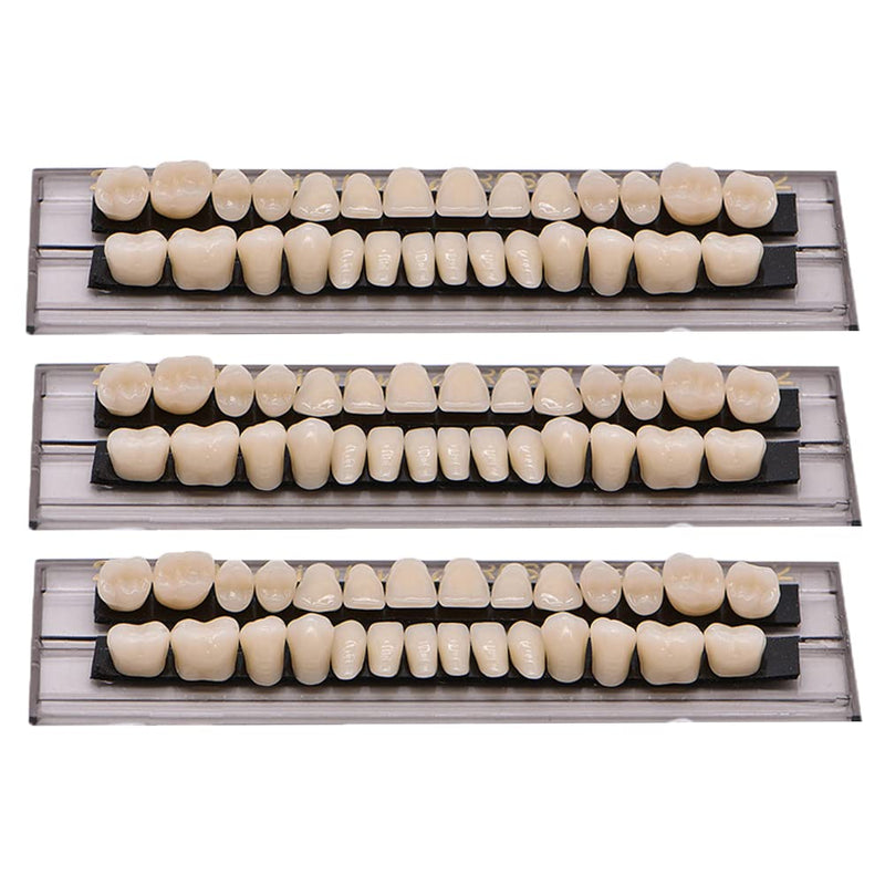 [Australia] - 84 PCS Acrylic Resin Teeth Dental Denture Dental Synthetic Resin Teeth Denture Halloween Horror Prop 23 A2 ((28 Pcs/3 Set)) (28 Pcs/3 Set) 