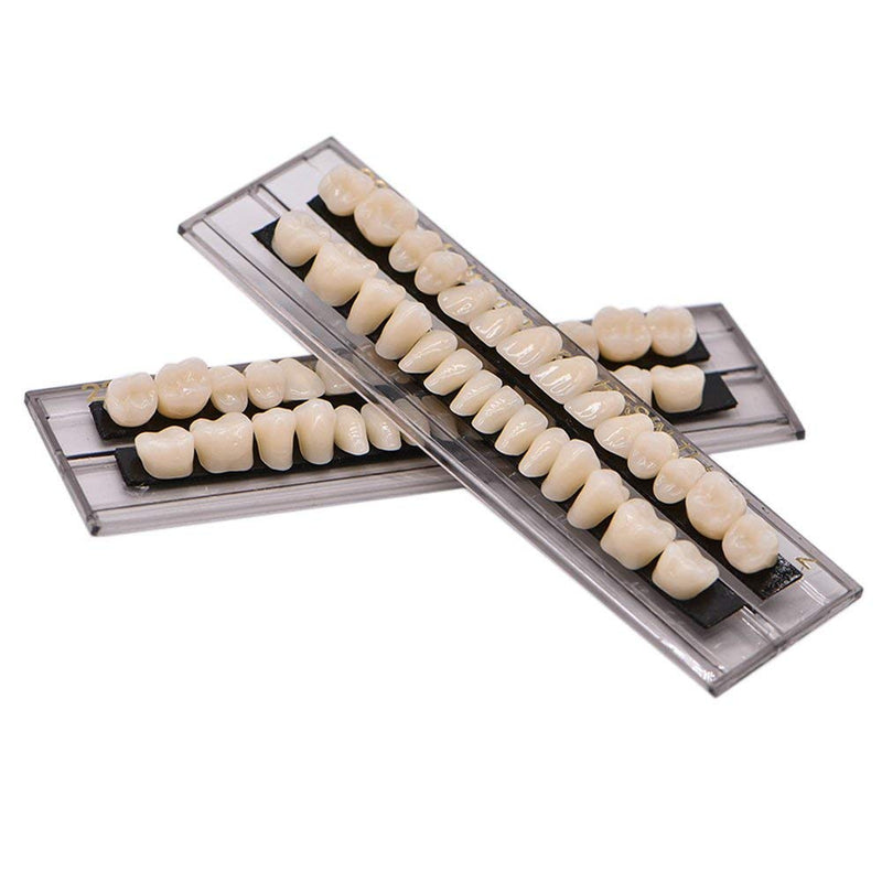 [Australia] - 56Pcs Dental Synthetic Acrylic Teeth Resin Denture False Teeth for Halloween Horror Prop 23 A2(28 Pcs/Set) 