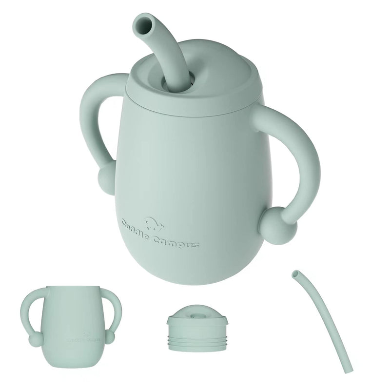 [Australia] - Cuddle Campus 100% Silicone Baby Training Cup, Shatterproof Toddler Sippy Cups with Straw, Open Cup for Baby, 6+ Months 4 Oz Sage 4 OZ 1 Count (Pack of 1) 