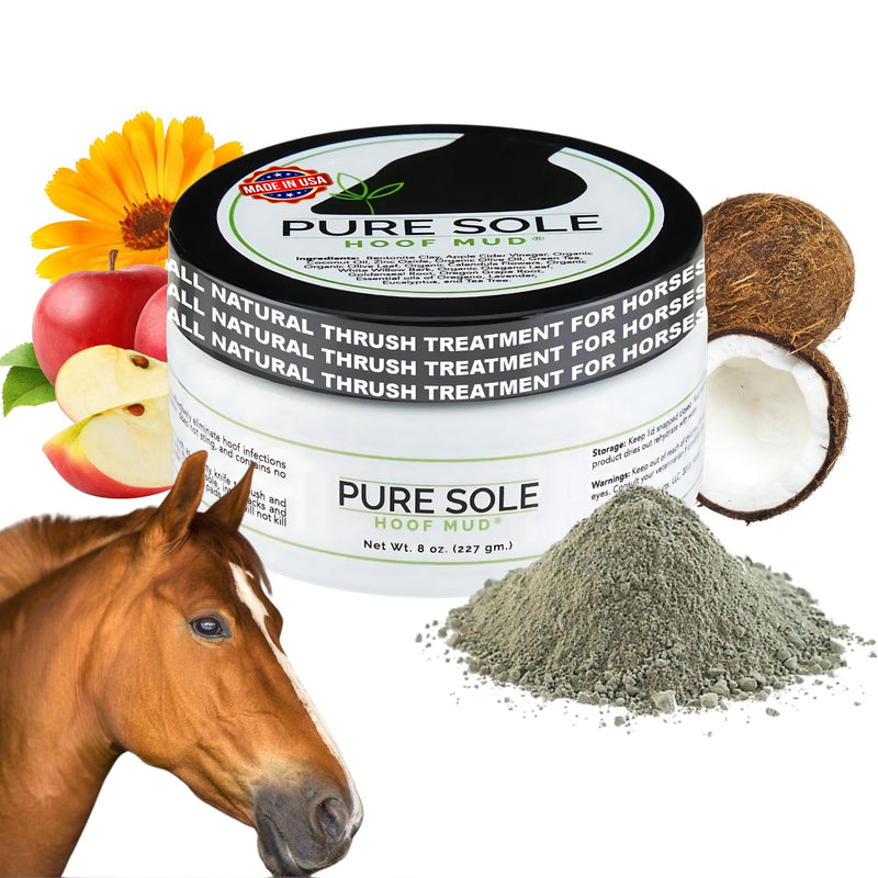 Thrush Treatment for Horses - Pure Sole Hoof Mud - Hoof Clay for Horses - A Horse Hoof Care Product for Thrush, White Line, and Hoof Wall Separation | Use Regularly for A Healthy Hoof. - 8 oz. - PawsPlanet Australia