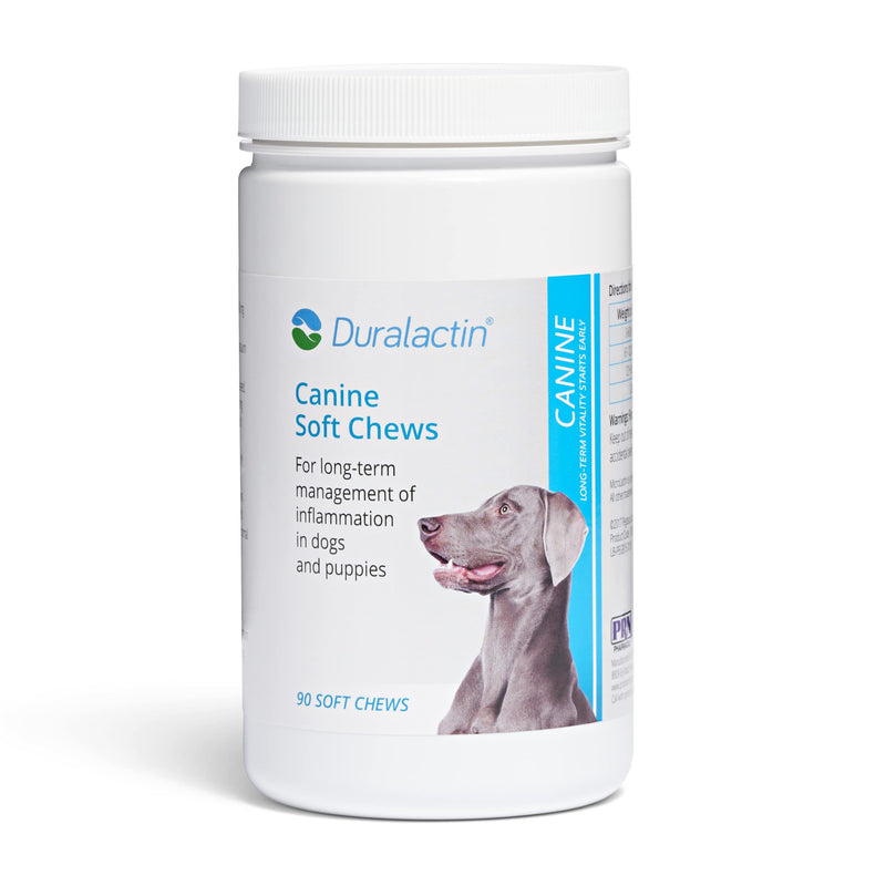 PRN Pharmacal Duralactin Canine Soft Chews - Joint Health Supplement for Dogs & Puppies to Help Reduce Chronic Soreness - Canine Chews Containing Dried Milk Protein - Chicken-Liver Flavor - 90 Chews - PawsPlanet Australia