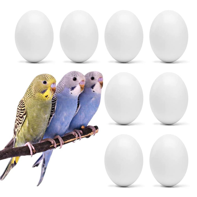 8Pcs Fake Bird Eggs, Stop Egg Laying fit Parrotlet, American Parakeet, Budgie, Diamond-Dove Artificial Eggs 14mm*19mm - PawsPlanet Australia