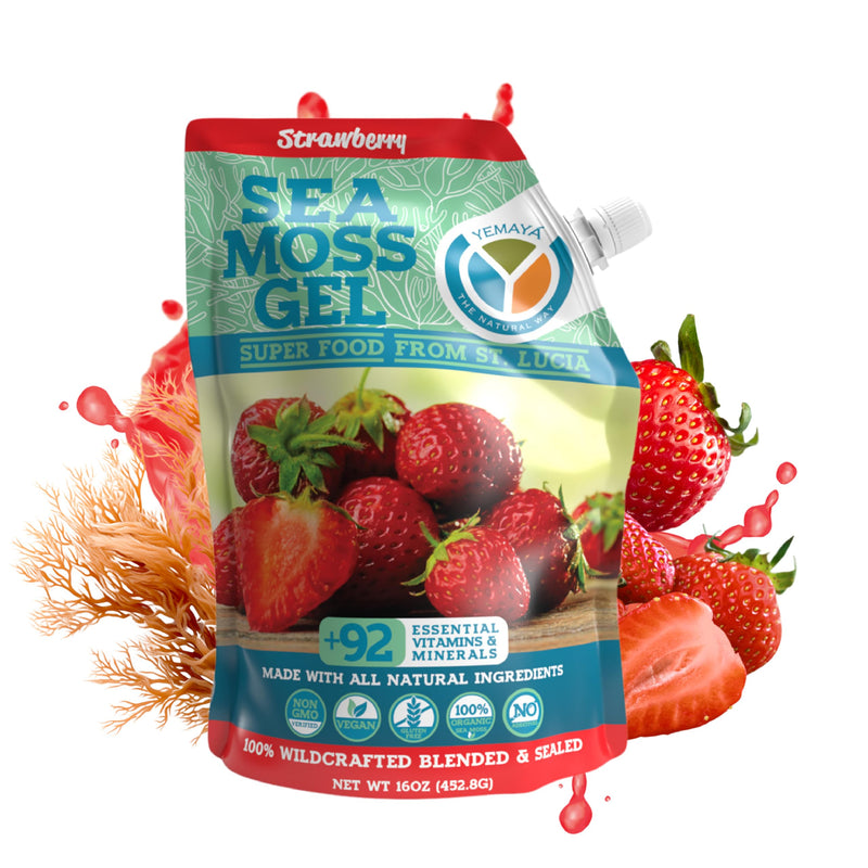 Yemayá Organic Sea Moss Gel Organic Raw | Wildcrafted Seamoss Gel Enhanced with Real Fruit, Supports Immunity, Energy, Digestion, Hair, Skin & Nails | 16 oz, Strawberry Flavor | Wildcrafted sea moss gel with real strawberry for immune and gut health su...