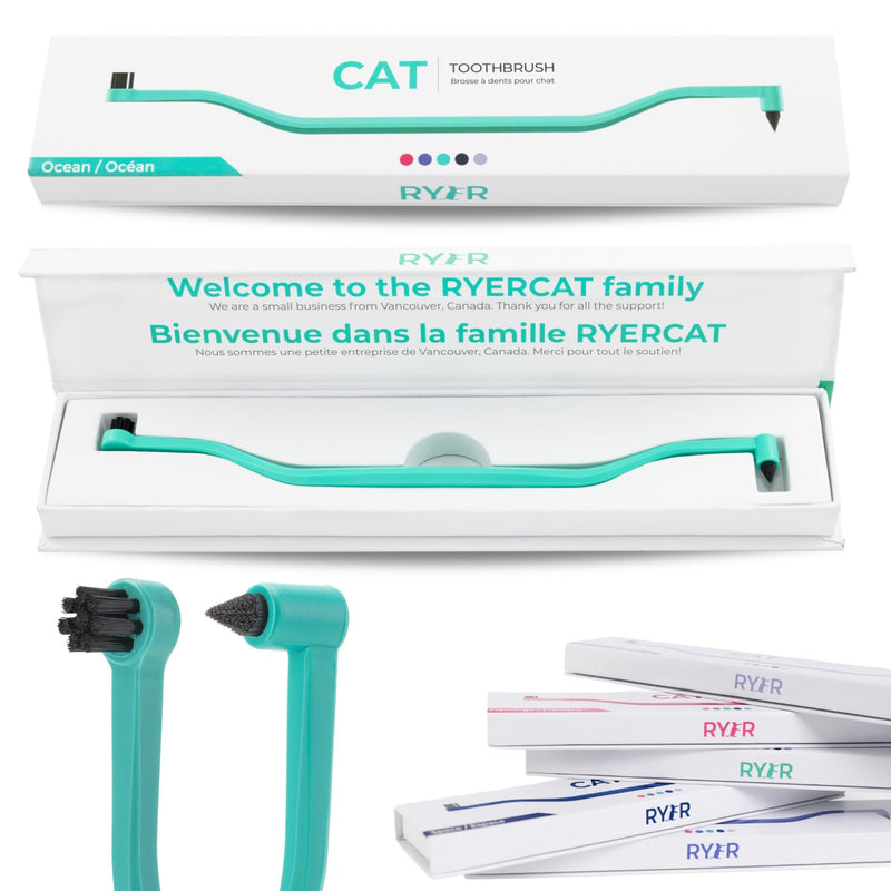 RYERCAT Dual Sided Cat Toothbrush - Kitten Toothbrush with Micro Head to fit into Cat/Kittens Mouth - Cat Dental Care Supplies - Pet Toothbrush for Cats (Ocean Blue) Ocean Blue - PawsPlanet Australia