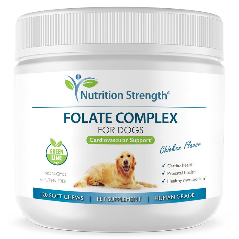 Folate for Dogs to Promote Cardiovascular & Prenatal Health, Support DNA Synthesis & Cell Maintenance, Folic Acid for Dogs with Zinc, Biotin, Iron & Vitamin B12, 120 Soft Chews - PawsPlanet Australia