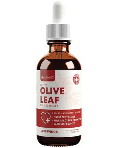 [Australia] - Rejuvica Health Active Olive Leaf - Advanced Olive Leaf Extract - Naturally Occurring Oleuropein - Liquid Delivery for Better Absorption - Immune & Heart Support 