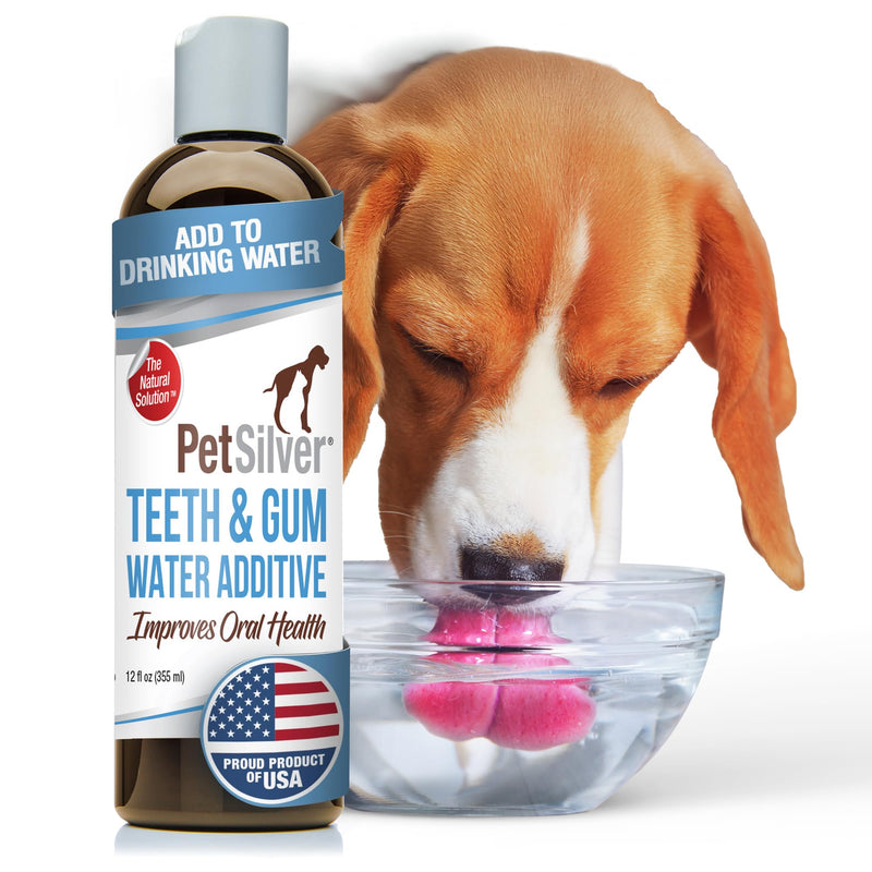 PetSilver Teeth & Gum Water Additive for Dental Care - Dog Breath Freshener - Targets Tartar, Plaque & Eliminates Bad Breath - Cat Oral Care & Dog Teeth Cleaning - No Brushing & Tasteless - 12 fl oz - PawsPlanet Australia