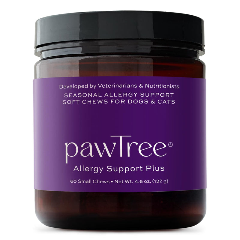 pawTree Natural Allergy Support Plus for Dogs-Ideal for Itching, Irritated Skin, Seasonal and Food Allergies, Hot Spots. Supplement Your pet Will Love. Small Chews for Pets - 60 Count (Small) - PawsPlanet Australia