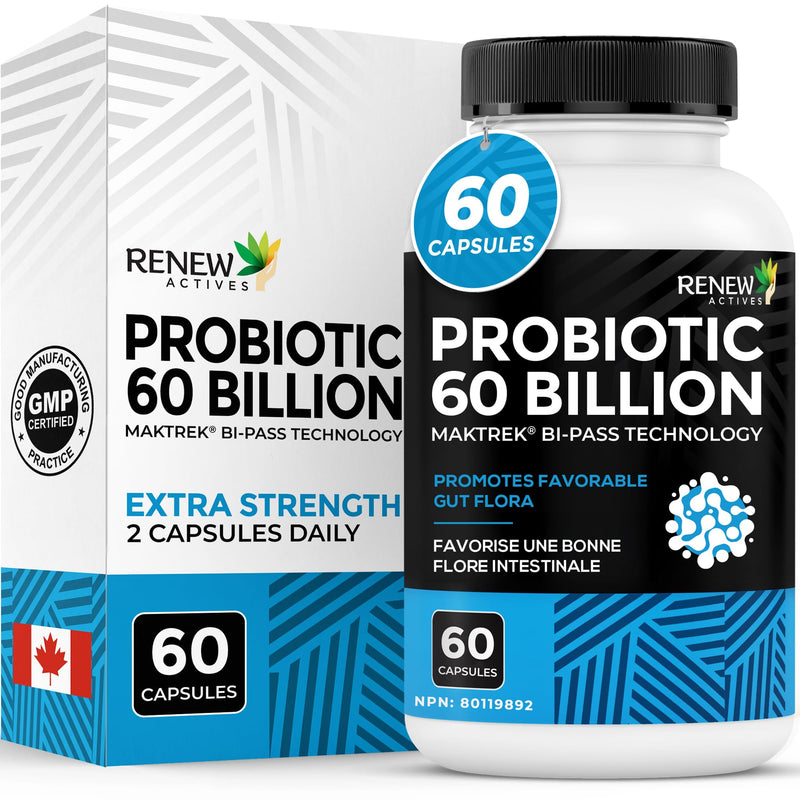 Renew Actives Probiotic Supplement for Digestive Health 60 Billion CFU per 2 Capsules - Advanced Formula with Prebiotic Benefits - Supports Gut Flora Balance & Wellness - Made in Canada - 60 Capsules