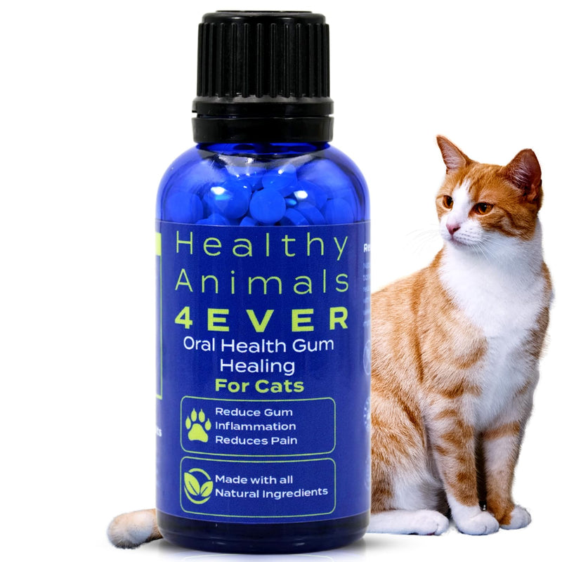 Healthy Animals 4 Ever Oral Health Gum Healing for Cats - Relieves Inflammation, Soothes Pain, Fights Gum Disease - Natural, Non-GMO, Organic - Gluten, Preservative & Chemical Free Supplement - 300 ct - PawsPlanet Australia
