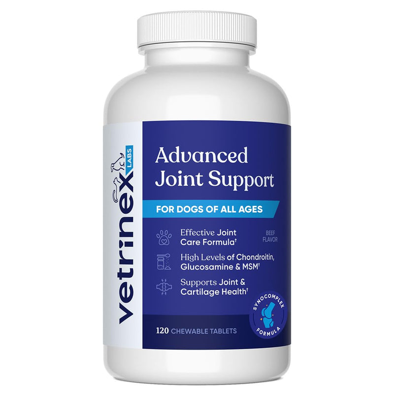Joint Support Supplement for Large Dogs - Hip and Joint Chewable Tablets for Small, Medium & Large Breed Dogs with Glucosamine, Chondroitin, and MSM, Beef Flavor, 120 Tablets Medium/Large Dogs (More than 45 lbs) - PawsPlanet Australia